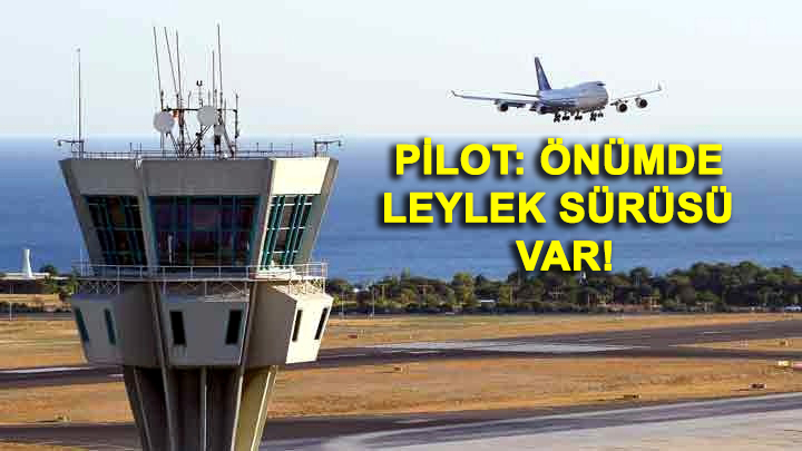 ATATÜRK HAVALİMANI’NDA LEYLEK ALARMI !