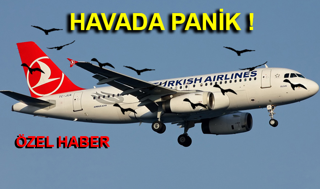 KUŞ SÜRÜSÜNE ÇARPAN THY UÇAĞI BÜYÜK TEHLİKE ATLATTI