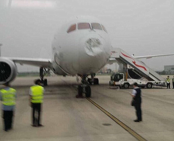 AMERİKAN AIRLINES KUŞ SÜRÜSÜNE ÇARPTI