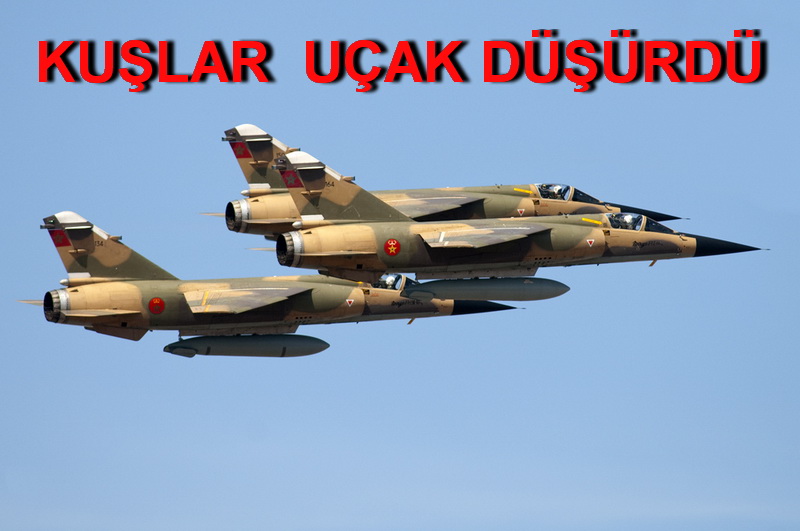KUŞ SÜRÜSÜ MIRAGE F-1’İ YERE ÇAKTI !