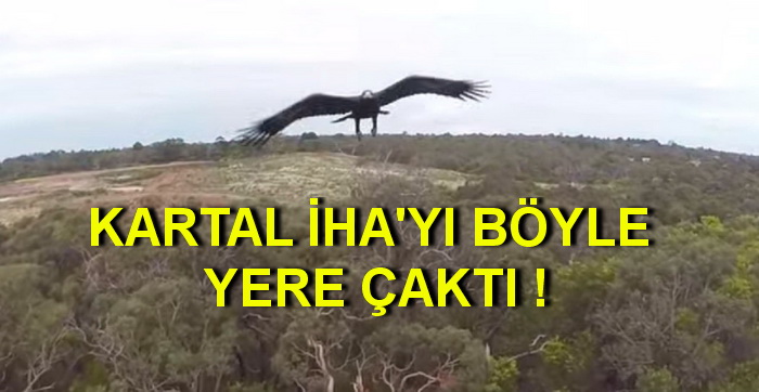 ‘DRONE’DA 200 DOLARLIK HASAR VAR (VİDEOLU)