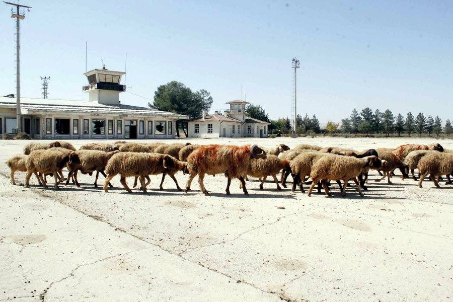 HAVAALANI KURBANLIKLARA OTLAK OLDU