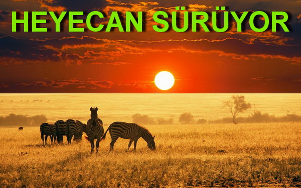 THY-SKYLIFE ÖDÜLLÜ FOTOĞRAF YARIŞMASI !