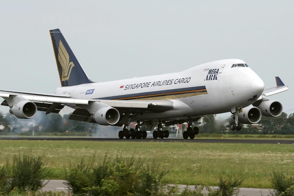 KARGO UÇAĞI KOYUNLAR İÇİN ACİL İNDİ!