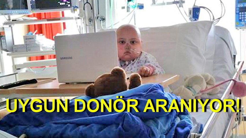 4 YAŞINDAKİ BADE İÇİN SEFERBERLİK!