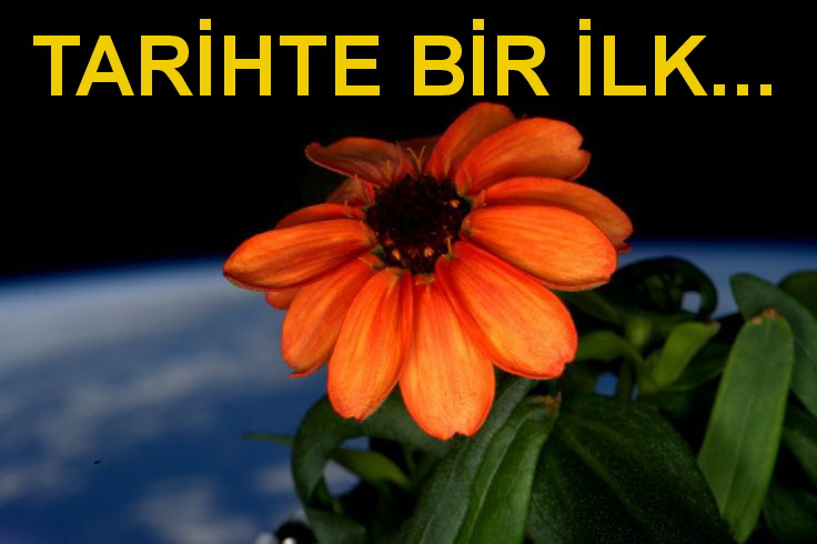 UZAYDA ÇİÇEK AÇTI!