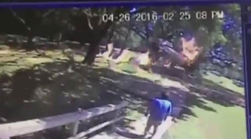 DÜŞEN UÇAKTAN BURNU KANAMADAN KURTULDU(VİDEOLU)