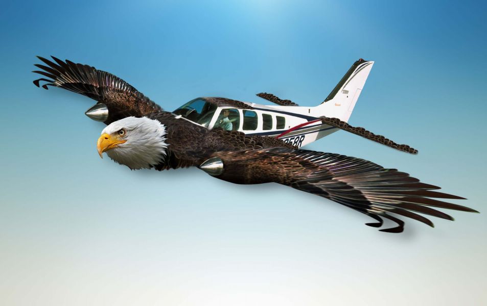 O UÇAĞI KARTAL DÜŞÜRMÜŞ!