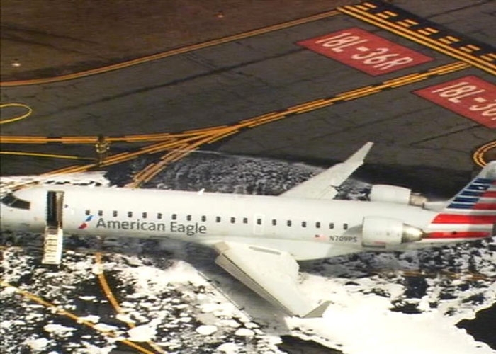 UÇAK GEYİĞE ÇARPTI!