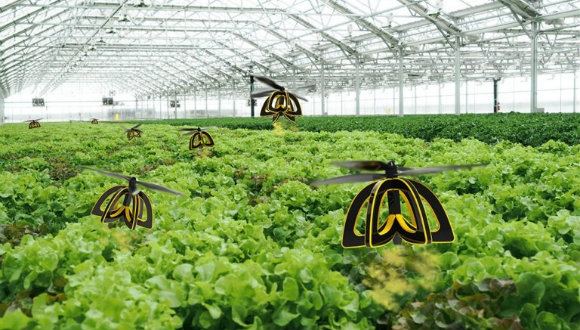 DRONE ARILAR HAYAT KURTARACAK!