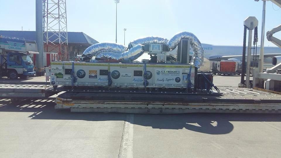 SABİHA GÖKÇEN HAVALİMANI’NA ÖZEL KUTUDA TİMSAH GETİRİLDİ