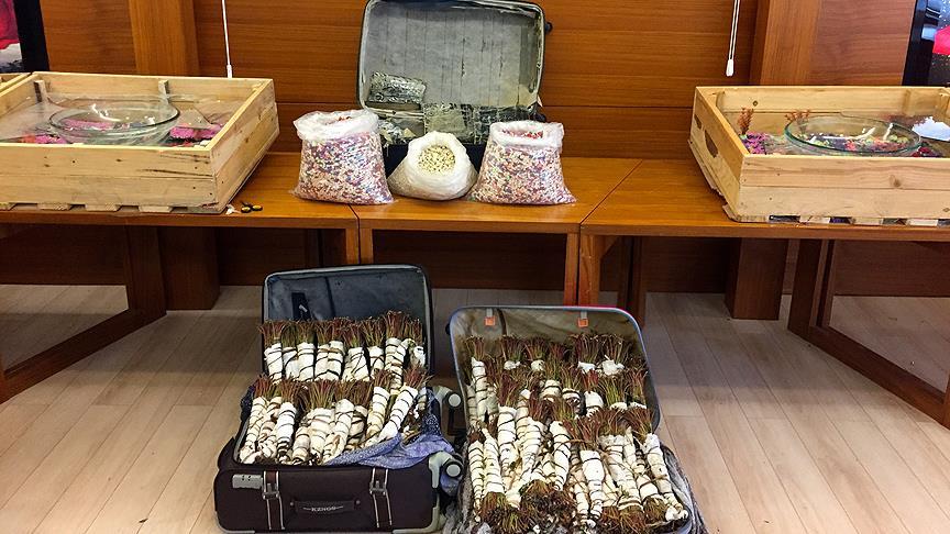 AHL’DE UYUŞTURUCU OPERASYONU!