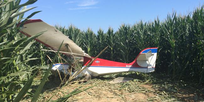 GEZİ UÇAĞI İNİŞTE AĞACA ÇARPTI!