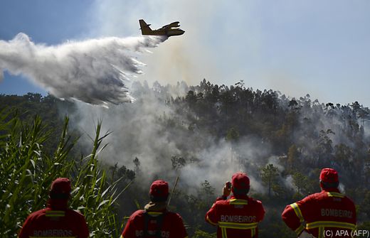 PORTEKİZ’DE YANGIN SÖNDÜRME UÇAĞI DÜŞTÜ!