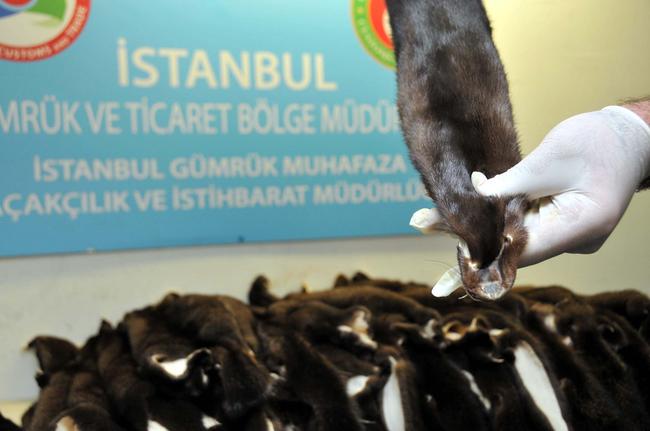 ATATÜRK HAVALİMANI GÜMRÜĞÜ’NDE ELEGEÇİRİLDİ