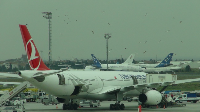 YEMEK YÜKLENEN UÇAĞA MARTILARIN İLGİSİ!