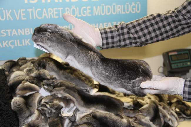 AHL’DE KAÇAKÇILARA GEÇİT YOK!