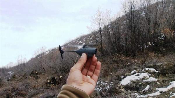 ‘EŞEK ARISI’ TERÖRİSTLERİN KABUSU OLDU!