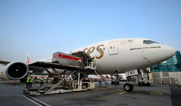 EMIRATES SKY CARGO 25 TON AŞIYI BREZİLYA’YA TAŞIDI