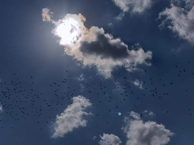 İSTANBUL’DA İLGİNÇ GÖRÜNTÜ… PİLOTLAR BİRBİRİNİ UYARDI