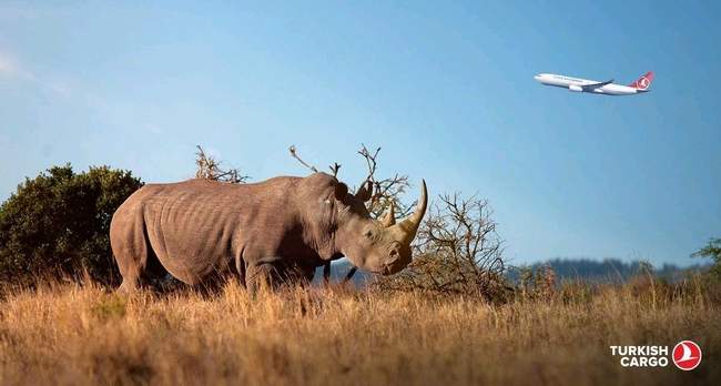 ATATÜRK HAVALİMANI’NDAN 5 GERGEDAN GEÇTİ!