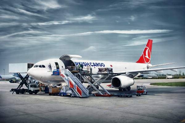 TURKISH CARGO VAHŞİ HAYVANLARI İSTANBUL’A TAŞIDI