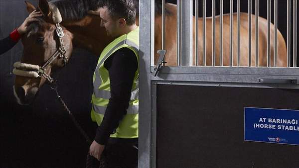 TURKISH CARGO ATLAR İÇİN HAVALANDI!