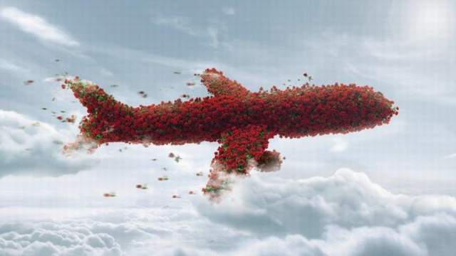 THY, SEVGİLİLER GÜNÜ İÇİN 4 BİN TON ÇİÇEK TAŞIDI!