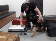 İSTANBUL HAVALİMANI’NDA UYUŞTURUCU OPERASYONU!