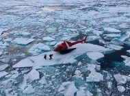 HER BİR UÇUŞTA KUTUPLARDA KAÇ METRE BUZ ERİYOR?