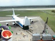 TAZE İNCİR UZAK DOĞU’YA UÇACAK