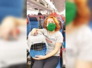 ”EVLADIM” DEDİĞİ KEDİSİNİN İMDADINA THY KOŞTU!