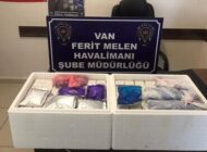 HAVALİMANINDA 224 KAÇAK BOTOKS DOLGU ÜRÜNÜ ELE GEÇİRİLDİ