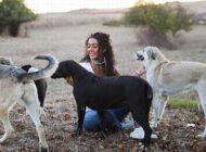 UÇMADIĞI GÜNLERDE SOKAK HAYVANLARINI BESLİYOR