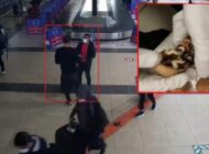 HAVALİMANINDA CEVİZ İÇİNDE UYUŞTURUCUYLA YAKALANDI