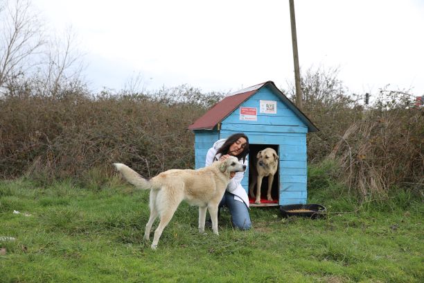 KABİN MEMURUNDAN ÖRNEK DAVRANIŞ!
