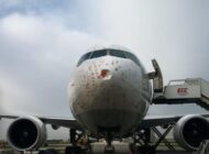 KUŞ SÜRÜSÜNE GİREN KARGO UÇAĞI GERİ DÖNDÜ!