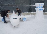 HAVACILIK SEVGİSİNİ KARA YANSITTILAR