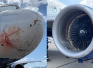 NBA TAKIMINI TAŞIYAN UÇAK KUŞ SÜRÜSÜNE GİRDİ!