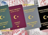 RENKLİ PASAPORTTA KONTROL DÖNEMİ