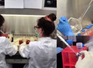 AIRBUS VE ZÜRÜH ÜNİVERSİTESİ İNSAN DOKUSU ÜRETİYOR