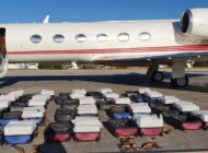 ÜÇ MÜRETTEBAT SERBEST, PİLOT SORGUDA