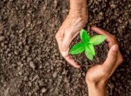 HAVACILIK CAMİASINDAN FİDAN BAĞIŞINA DESTEK!