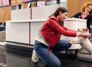 THY EVCİL HAYVANLARA AŞI KARNESİ ZORUNLULUĞUNU KALDIRDI