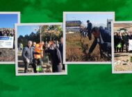HAVALİMANLARINDA AĞAÇLANDIRMA SEFERBERLİĞİ