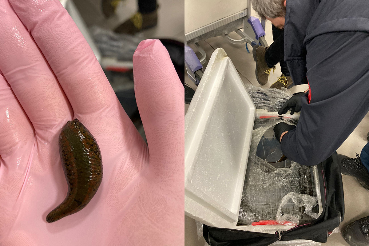 İSTANBUL HAVALİMANI’NDA ELE GEÇİRİLDİ