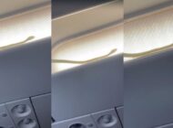 UÇAĞA GİREN YILAN ACİL İNİŞ YAPTIRDI