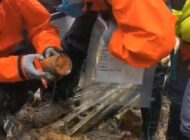 DÜŞEN YOLCU UÇAĞININ KARA KUTUSU BULUNDU