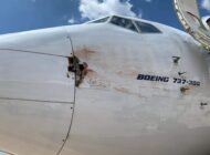 KUŞ SÜRSÜNE ÇARPAN UÇAĞIN GÖVDESİ DELİNDİ