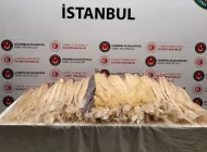 SABİHA GÖKÇEN’DE İNSAN SAÇI ELE GEÇİRİLDİ